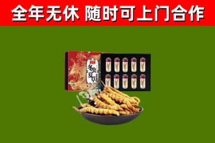 巴里坤县回收冬虫夏草价格