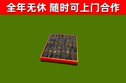 巴里坤县烟酒回收海参.jpg